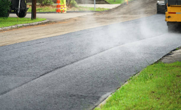 Best Concrete Paver Driveway  in Topaz Ranch Estates, NV